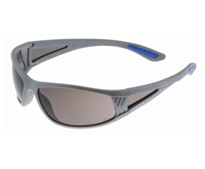 Picture of VisionSafe -289SISD - Smoke Hard Coat Safety Glasses